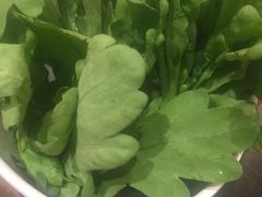 -新辣道鱼火锅(领展购物广场·中关村店)