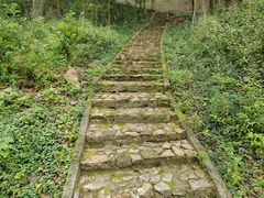 -上海佘山国家森林公园天马山园