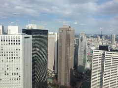 -东京都厅舍