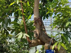 -国家植物园南园