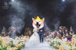 -格乐利雅婚礼艺术中心(南外滩店)