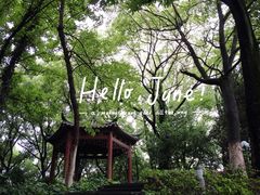 -上海市保健医疗中心(华东疗养院)