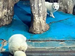 -泉城欧乐堡海洋极地世界