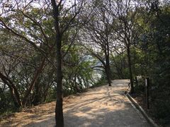 -羚羊峡古栈道森林公园