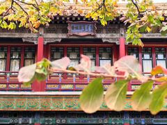 -故宫博物院(故宫)