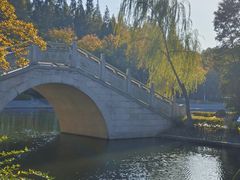 -泰州凤城河风景区-泰山公园