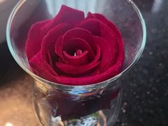 -华豫川酒家(双子塔店)