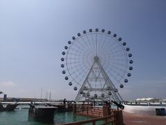 -秦皇岛乐岛海洋王国