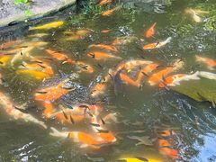 -青青世界