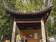-灵岩山风景区