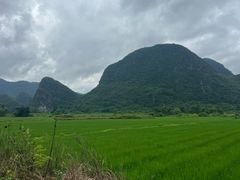 -钟山水墨田园