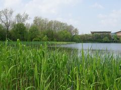 -溱湖国家湿地公园