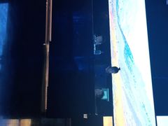 -墨锦轩·5D影院足浴·SPA(高新店)