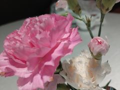 -忆家名门·上海菜(徐家汇店)