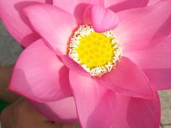 -天津东丽湖风景区