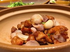 三杯鸡-青年公社烤鸭(蜀山万象汇店)
