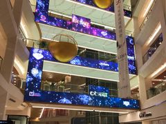 -游牧传奇新疆特色歌舞餐厅(红山新世纪购物广场店)