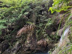 -宁波五龙潭景区