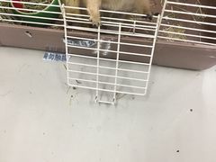 -乐宠宠物店(世纪金源店)