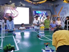 -中国宋庆龄青少年科技文化交流中心