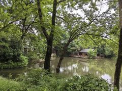 -西溪国家湿地公园