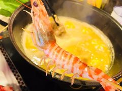 -鲜入围煮花胶鸡海鲜火锅