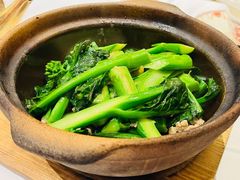 姜汁芥兰-稻香酒家(天河城店)