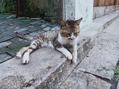 -黎里柳亚子纪念馆