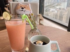 -柴犬小屋·柴餐厅·狗咖食堂(金鼎广场店)