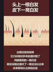 -Bollins波林丝•专研护发中心