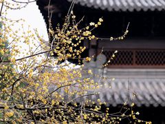 -钱王祠