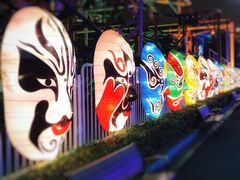-锦江乐园舞狸花花游园会(夜场专享)