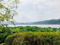 -湖畔居茶楼(湖滨店)