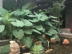 -北国商城