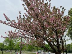 -盘龙城国家考古遗址公园