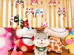 -柴迷FANS CLUB·柴犬狗咖·猫咖