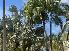 -海口喜来登酒店