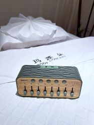 -玛莲朵·海菲秀冰珀科