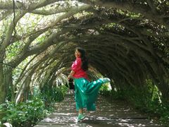 -广西壮族自治区药用植物园