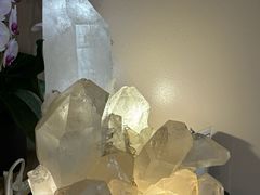 -金凯旋宫