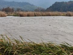 -东钱湖旅游度假区