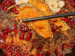 -老板恋上鱼(恒隆广场店)