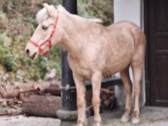 -龙湾潭国家森林公园