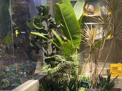 -自然椰·海南清补凉(明珠店)