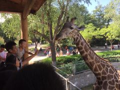 -石家庄市动物园