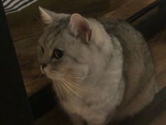 -不舍昼夜咖啡馆