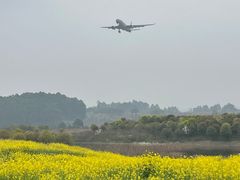 -空港花田景区