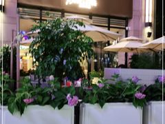 -斯普汇生蚝牛排馆(中骏世界城店)