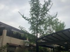 -月圆霖特色农家乐