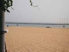 -碧海金沙